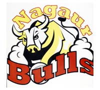 nagaur